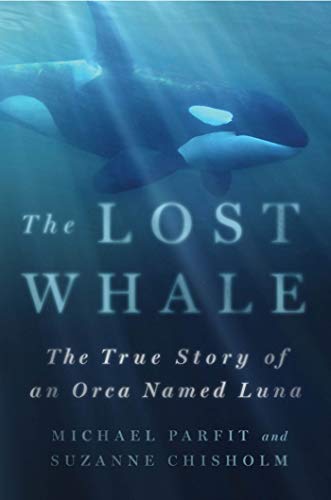 Lost Whale: The True Story of an Orca Named Luna